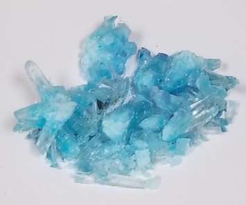 (Grey-Bruce OPP photo)