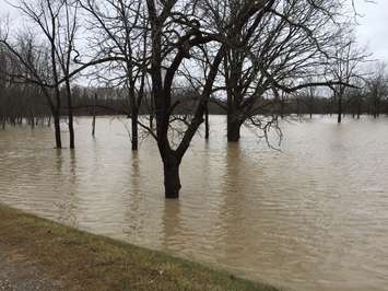 Flooding at Petrolia Discovery. February 21, 2018 (Photo by Melanie Irwin)