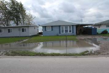 Flooded yards at Erie Shore Dr. in near Erieau, Oct. 25, 2017. (Photo by Paul Pedro)