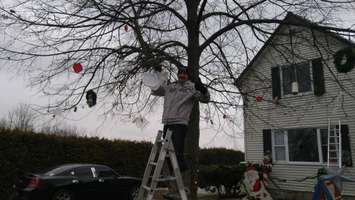 Nigel Turner decorates training officer Kyle Kudman's tree, Dec. 9, 2017 (Photo by Colin Gowdy)