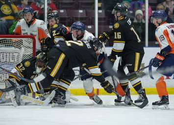 The Sarnia Sting beat the Flint Firebirds 7-1 led by 2 goals and an assist from Sean Josling. January 6, 2018. (Photo courtesy of Metcalfe Photography)