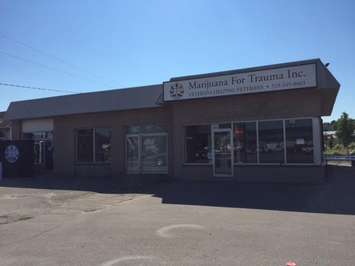 Marijuana For Trauma Inc. opens Southwestern Ontario medical marijuana support centre in Strathroy. August 4, 2016 (BlackburnNews.com photo by Melanie Irwin)