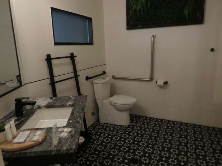 362 Dundas Accessible bathroom (Photo by Tamara Thornton, Blackburn Media)