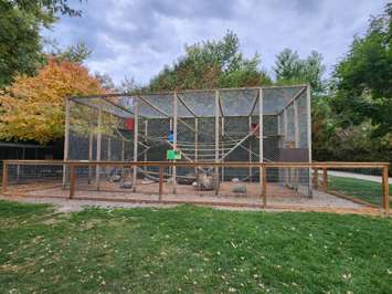 Greenview Aviaries improvements via Alicia Patten