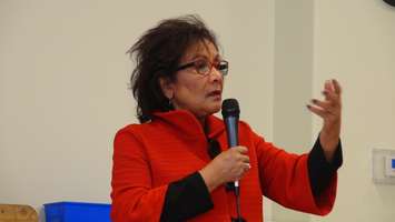 Liberal Health Critic Hedy Fry (Photo by Jake Kislinsky).