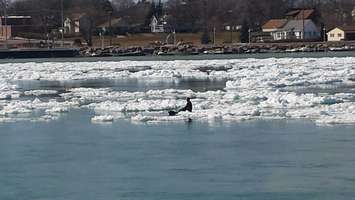A man sighted riding an ice floe near the Blue Water Bridge, March 22, 2015. (Photo courtesy of Greg Plain via the Blackburn Radio App)