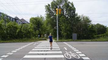 A pedestrian and cyclist crossing on Exmouth Street at the Howard Watson Nature Trail. 3 June 2020. (BlackburnNews.com photo by Colin Gowdy)