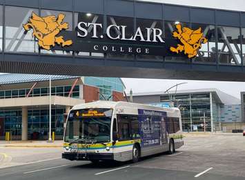 Transit Windsor bus near the St. Clair College Downtown Windsor campuses. (Image courtesy of St. Clair College)