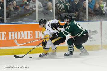 The London Knights take on the Sarnia Sting, February 7, 2016. (Photo courtesy of Metcalfe Photography)