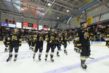 The Sarnia Sting celebrating a win against the London Knights in Game 3 of the Western Conference final. 2 May 2023. (Metcalfe Photography)