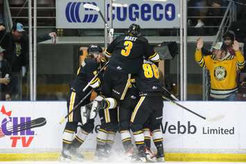 Sarnia celebrates a goal in Game 2 of the Sting's opening round matchup against the Guelph Storm. 2 April 2023. (Metcalfe Photography)