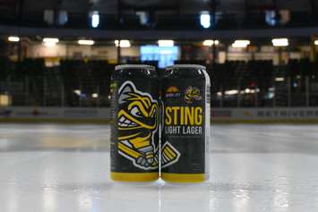 Sting Light Lager brewed by Imperial City Brew House in Sarnia. April 2023. (Photo by the Sarnia Sting)