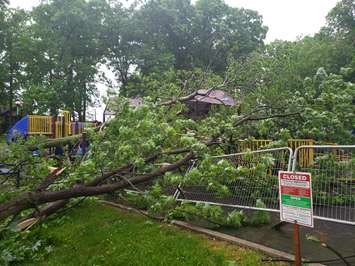 Tree damages playground at Seacliff Park in Leamington, June 10, 2020. (Photo courtesy of Krystal Harris)