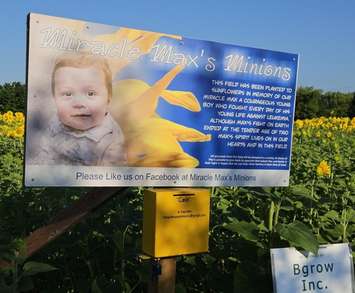 A sign and donation box for Miracle Max's Minions. Image courtesy of Sipkens Nurseries via. Facebook.
