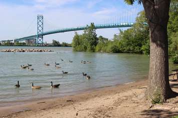 Ambassador Bridge. (Photo by Jason Viau)