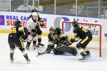 The Sarnia Sting versus Owen Sound, January 12, 2022.  (Metcalfe Photography)