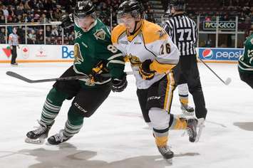 The London Knights take on the Sarnia Sting, December 31, 2014. (Photo courtesy of Metcalfe Photography)