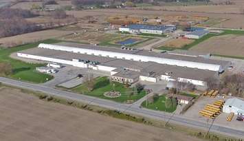 Highline Mushrooms facility in Kingsville, Ontario. (Photo courtesy Highline Mushrooms)