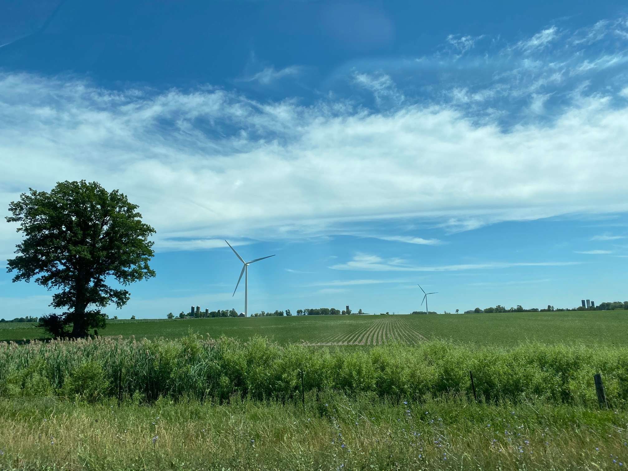 Wellington County accepting applications for Experimental Acres program