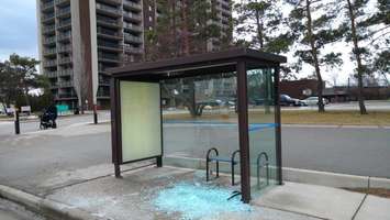 Vandals smash Transit Windsor bus shelters in Windsor's east end. (Submitted photo)