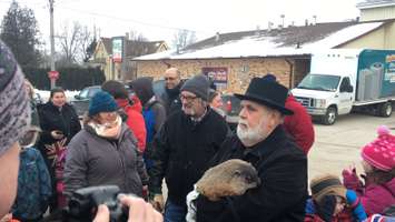 Ollie just saw his shadow and told Mayor Lonny Napper we're in for six more weeks of winter. February 2, 2018. (Photo by Colin Gowdy, Blackburn News)