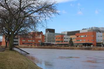 The water level behind the Civic Centre in Chatham. February 25, 2018. (Photo by Natalia Vega)