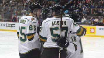 The London Knights celebrate a goal at the WFCU Centre in Windsor, playoffs 2014. (Photo by Mike Vlasveld)