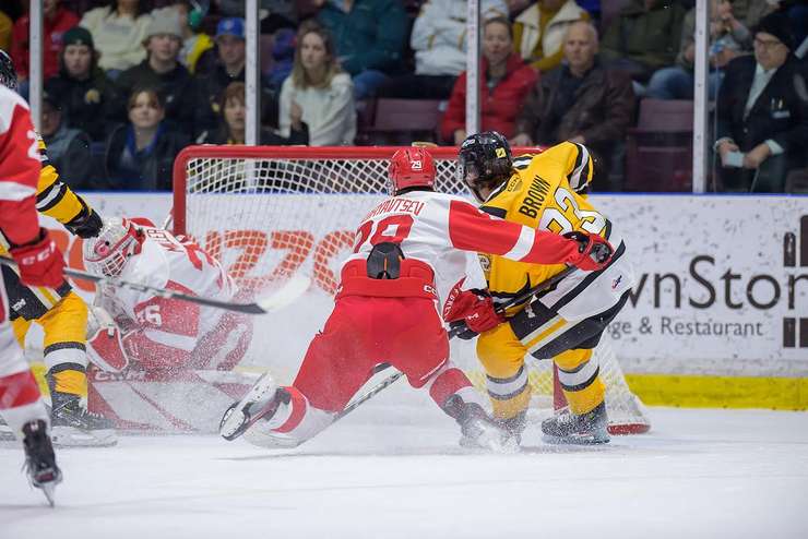 Soo Greyhounds at Sarnia Sting, February 19, 2024. Photo by Metcalfe Photography. 