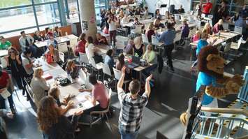 Lambton College flash mob in support of mental health awareness. November 5, 2015 (BlackburnNews.com Photo by Briana Carnegie)