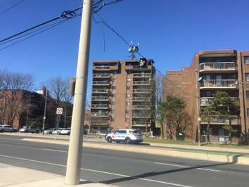 Wind damage at Wyandotte St. and George, March 8, 2017.  (Photo by Maureen Revait)