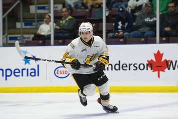 Sting forward Ty Voit. (Photo courtesy of the Sarnia Sting Hockey Club.)