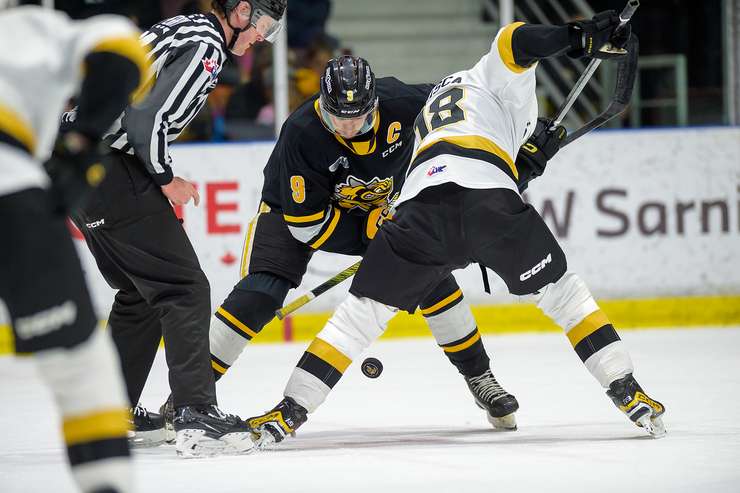 Sarnia Sting host Kingston Frontenac's at Progressive Auto Sales arena on March 10, 2024 (Metcalfe Photography)