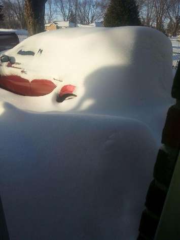 Photo courtesy Lynnsey Lauzon