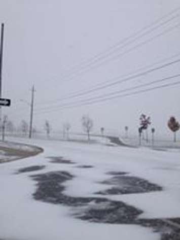 The Vollmer Recreation Complex in LaSalle. (Photo courtesy Facebook/Maria Shornyk-Hatton)