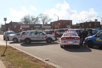 Windsor Police surround stolen vehicle on Marentette St. (February 3, 2016) 

