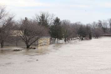 Water levels towards the Fifth St. Bridge in Chatham. February 25, 2018. (Photo by Natalia Vega)