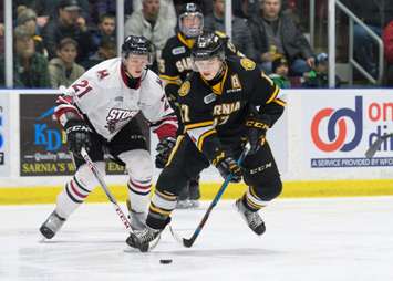 Sting forward Drake Rymsha handles the puck against the Storms James McEwan. March 10, 2018. (Photo courtesy of Metcalfe photography)