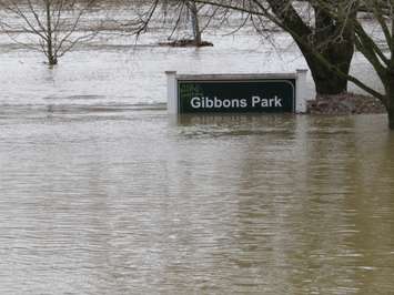 The Gibbons Park sign half submerged in floodwater at the Grosvenor St. entrance to the park, February 21, 2018. (Photo by Miranda Chant, Blackburn News) 