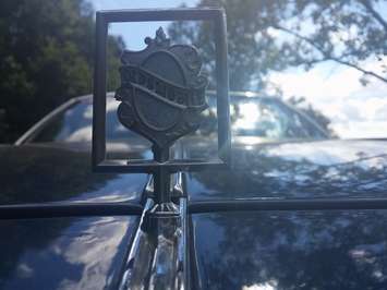 Thousands descend on Bothwell's Victoria Park for the annual Bothwell car show, August 6, 2016. (Photo by the Blackburn Radio Summer Patrol)