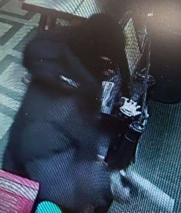 One of the suspects in an armed robbery at a business on Wyandotte St. E. in Windsor on December 8, 2018. Photo provided by Windsor Police Service.
