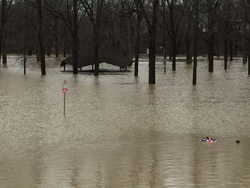 Flooding at Bridgeview Park in Petrolia. February 21, 2018 (Photo by Melanie Irwin)