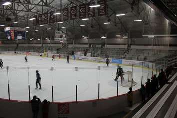 The Sarnia Sting during their practice at Chatham Memorial Arena. November 29, 2016. (Photo by Natalia Vega)