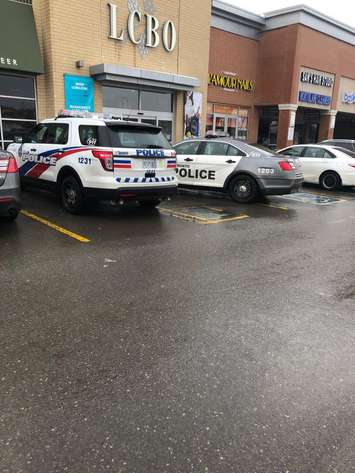 Police vehicles outside an LCBO outlet in North York, Toronto, February 3, 2019. Photo by  @MackenzieTammi/Twitter. Used with permission.