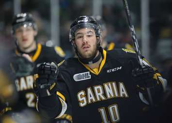Anthony Salinitri celebrates his 22nd goal of the year in Sarnia's 5-1 win over London. February 3, 2018. (Photo courtesy of Metcalfe Photography)
