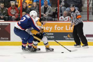 The Sarnia Sting take on the Windsor Spitfires, January 31, 2016. (Photo courtesy of Metcalfe Photography)