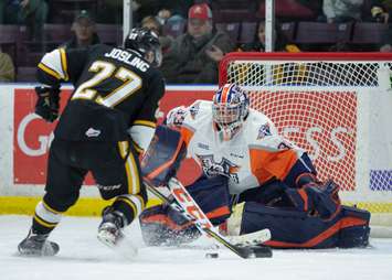 The Sarnia Sting beat the Flint Firebirds 7-1 led by 2 goals and an assist from Sean Josling. January 6, 2018. (Photo courtesy of Metcalfe Photography)