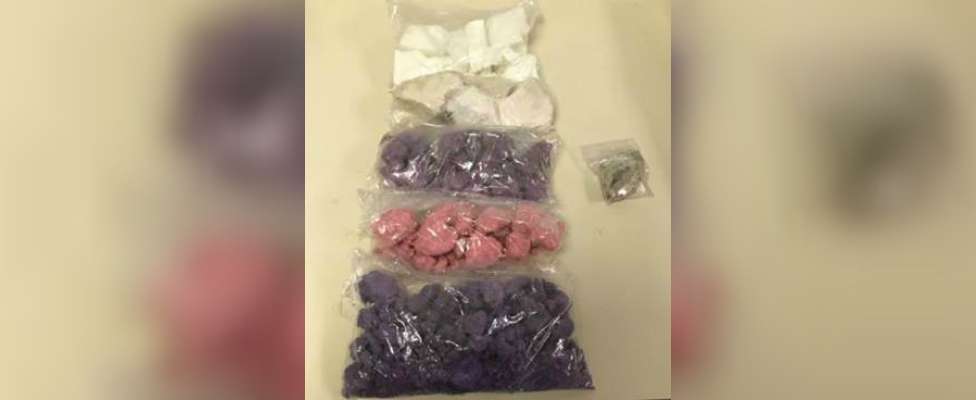 Drug bust turns up fentanyl, crack cocaine
