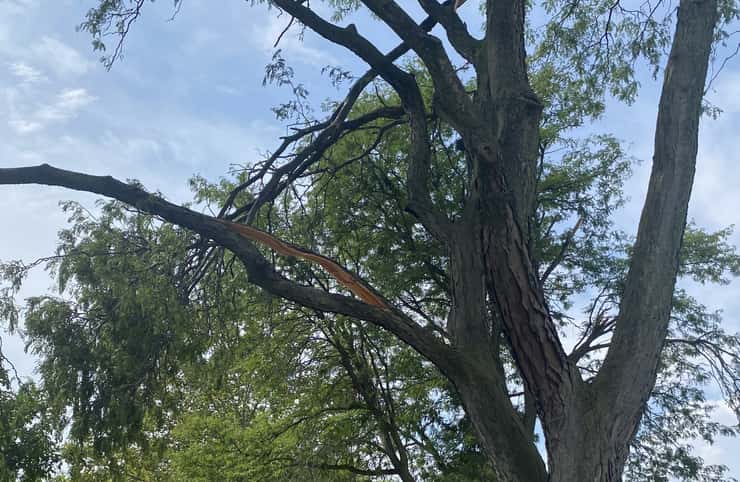 Storm damage is shown in Windsor's Forest Glade area, September 3, 2026. Photo by Adelle Loiselle/WindsorNewsToday.ca