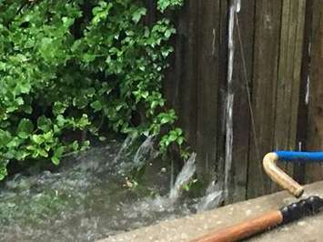 Windsor residents deal with widespread flooding in the city,
 August 29, 2017. (Photo courtesy of Dora Amelia Belanger)