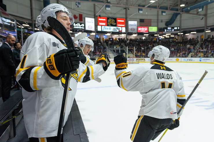 North Bay at Sarnia Sting, Nov 9, 2025. Photo by Metcalfe Photography. 
